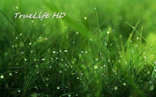 TrueLife HD