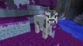 CrazyCraft