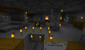 CartoonCraft