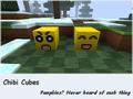 eShredder's Play Craft