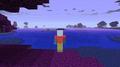 CrazyCraft