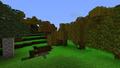 Biome Relative Textures